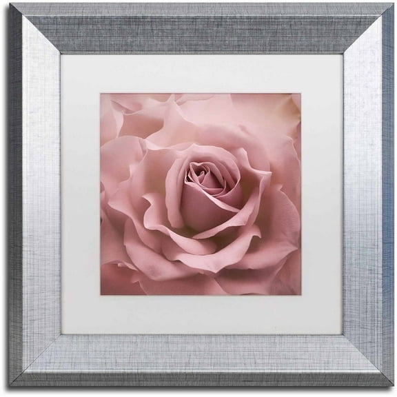 Trademark Fine Art 'Misty Rose Pink Rose' Canvas Art by Cora Niele, White Matte, Silver Frame