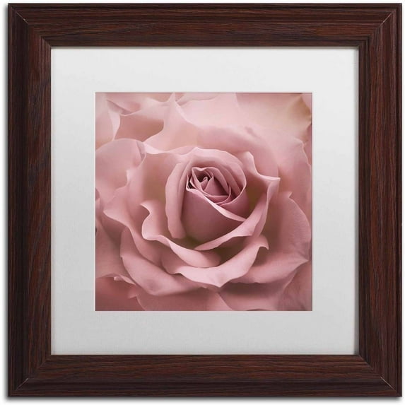 Trademark Fine Art 'Misty Rose Pink Rose' Canvas Art by Cora Niele, White Matte, Wood Frame