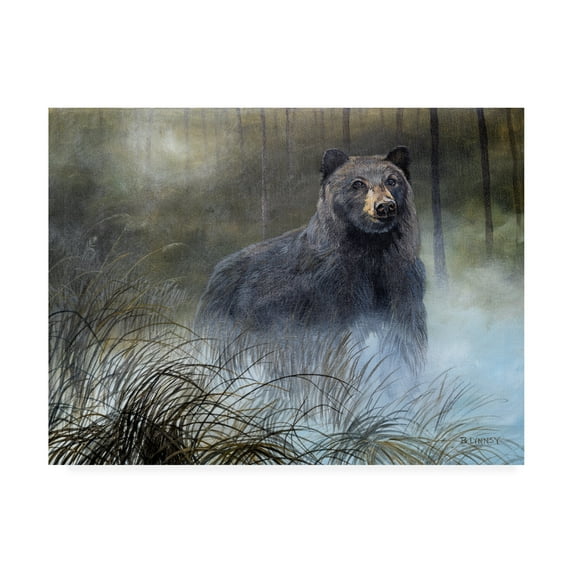 Trademark Fine Art 'Misty Wild III' Canvas Art by B. Lynnsy