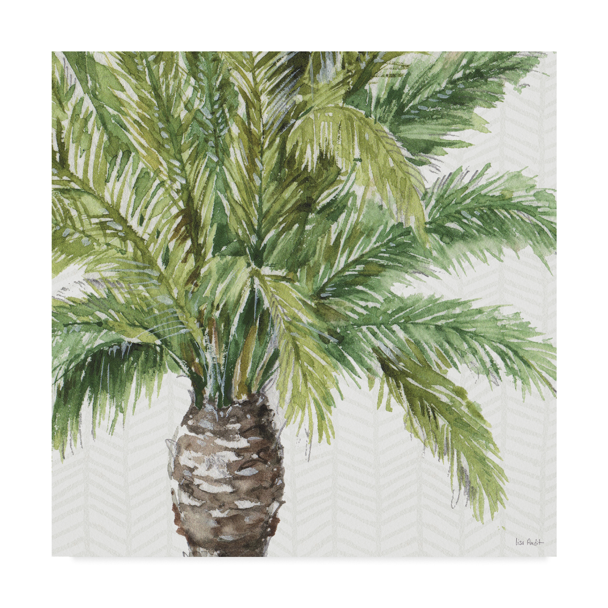 Trademark Fine Art 'Mixed Greens III' Canvas Art by Lisa Audit