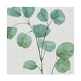 thumbnail image 1 of Trademark Fine Art 'Mixed Greens LII' Canvas Art by Lisa Audit, 1 of 3