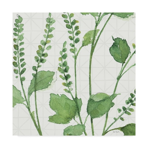 Trademark Fine Art 'Mixed Greens LIV' Canvas Art by Lisa Audit