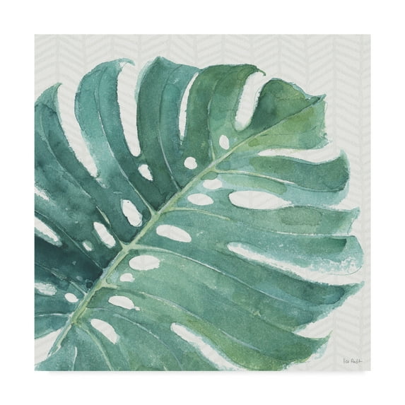 Trademark Fine Art 'Mixed Greens LXXIII' Canvas Art by Lisa Audit