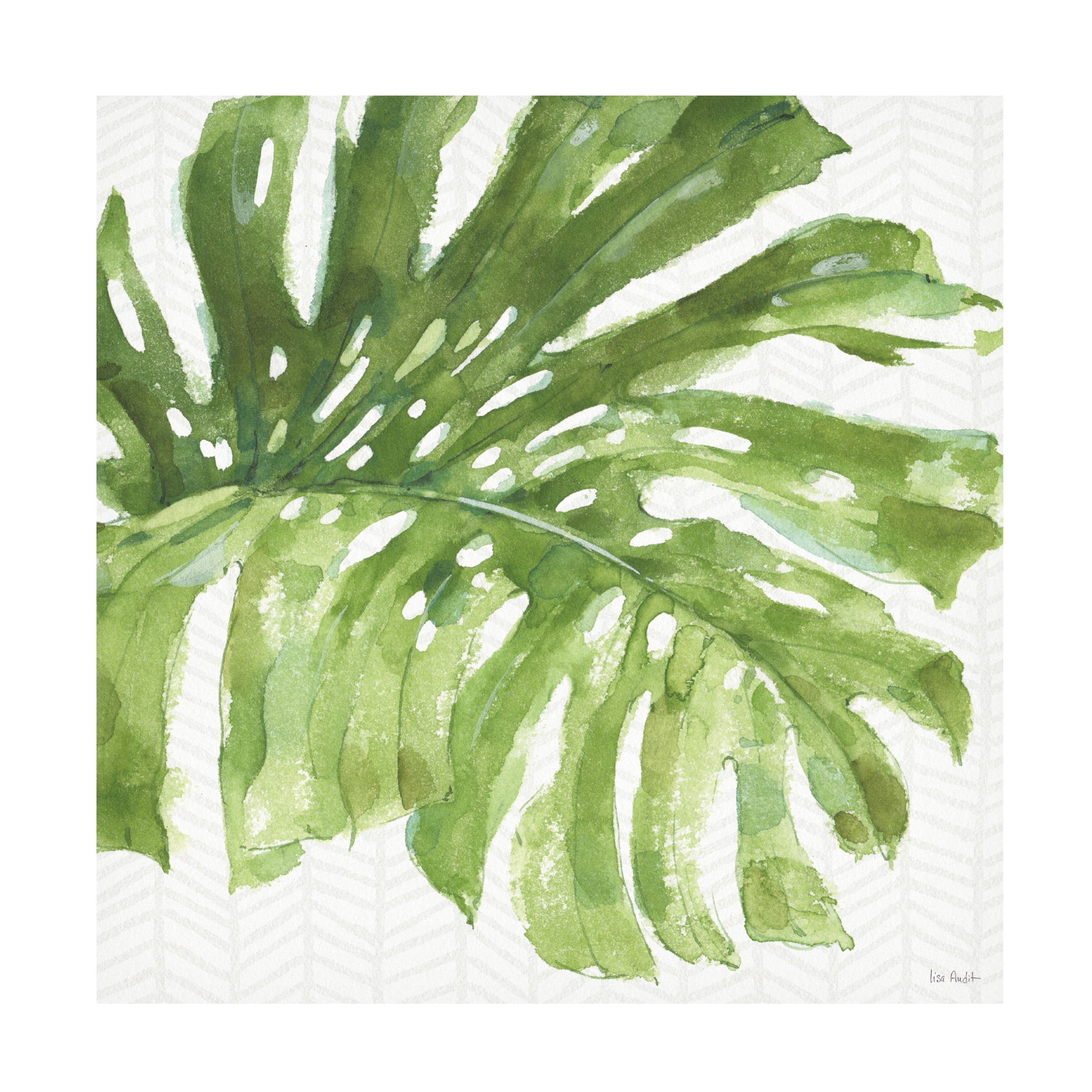 Trademark Fine Art 'Mixed Greens LXXIV' Canvas Art by Lisa Audit
