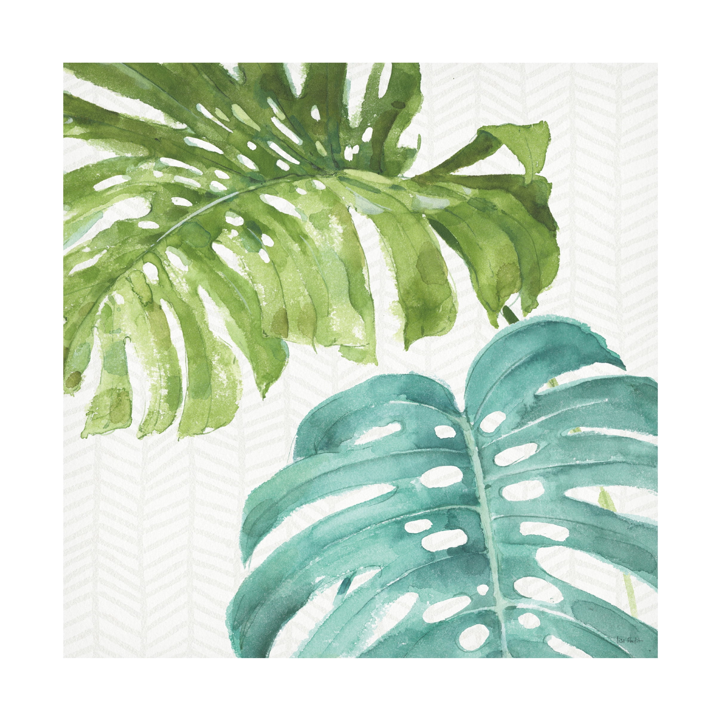 Trademark Fine Art 'Mixed Greens LXXVI' Canvas Art by Lisa Audit