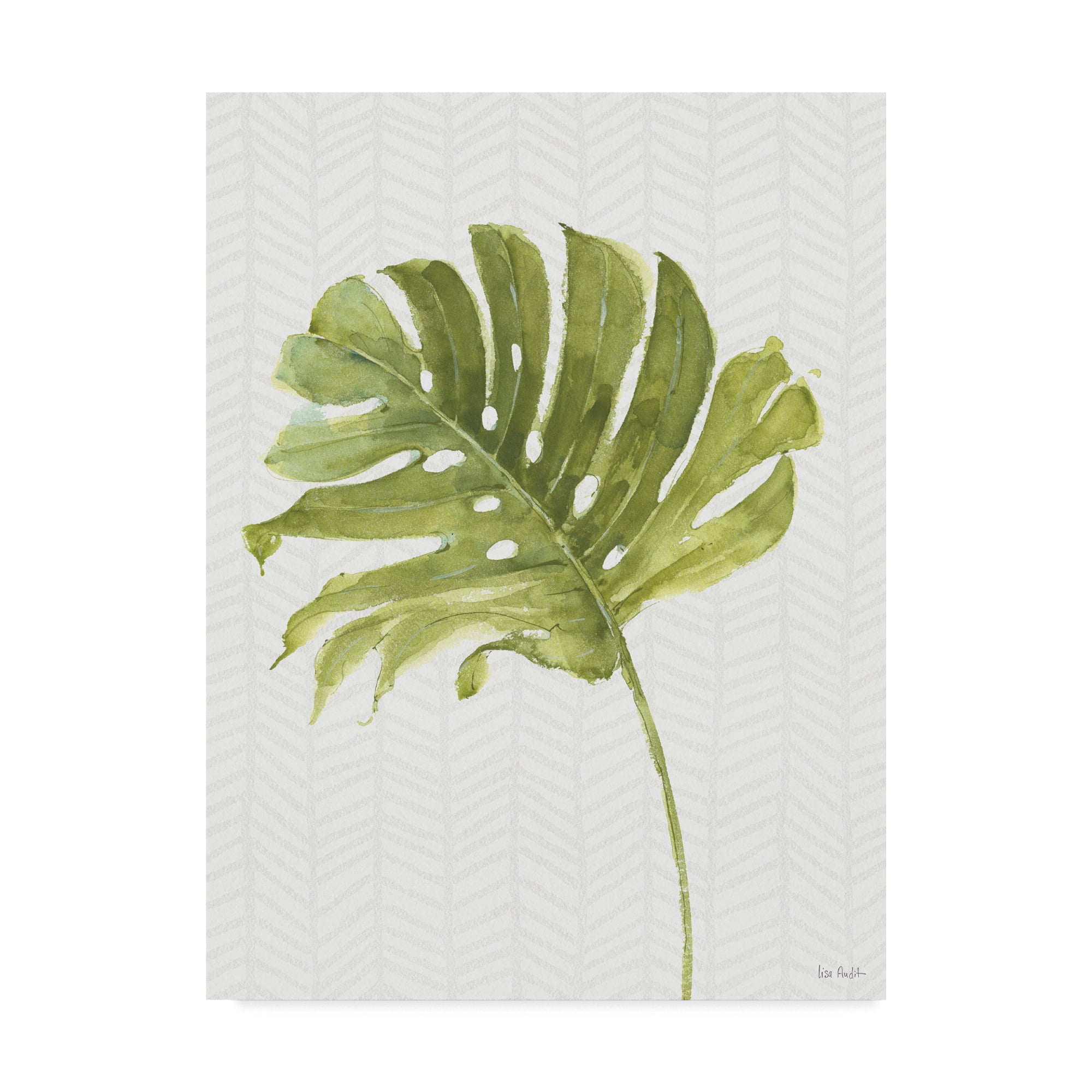 Trademark Fine Art 'Mixed Greens LXXVII' Canvas Art by Lisa Audit