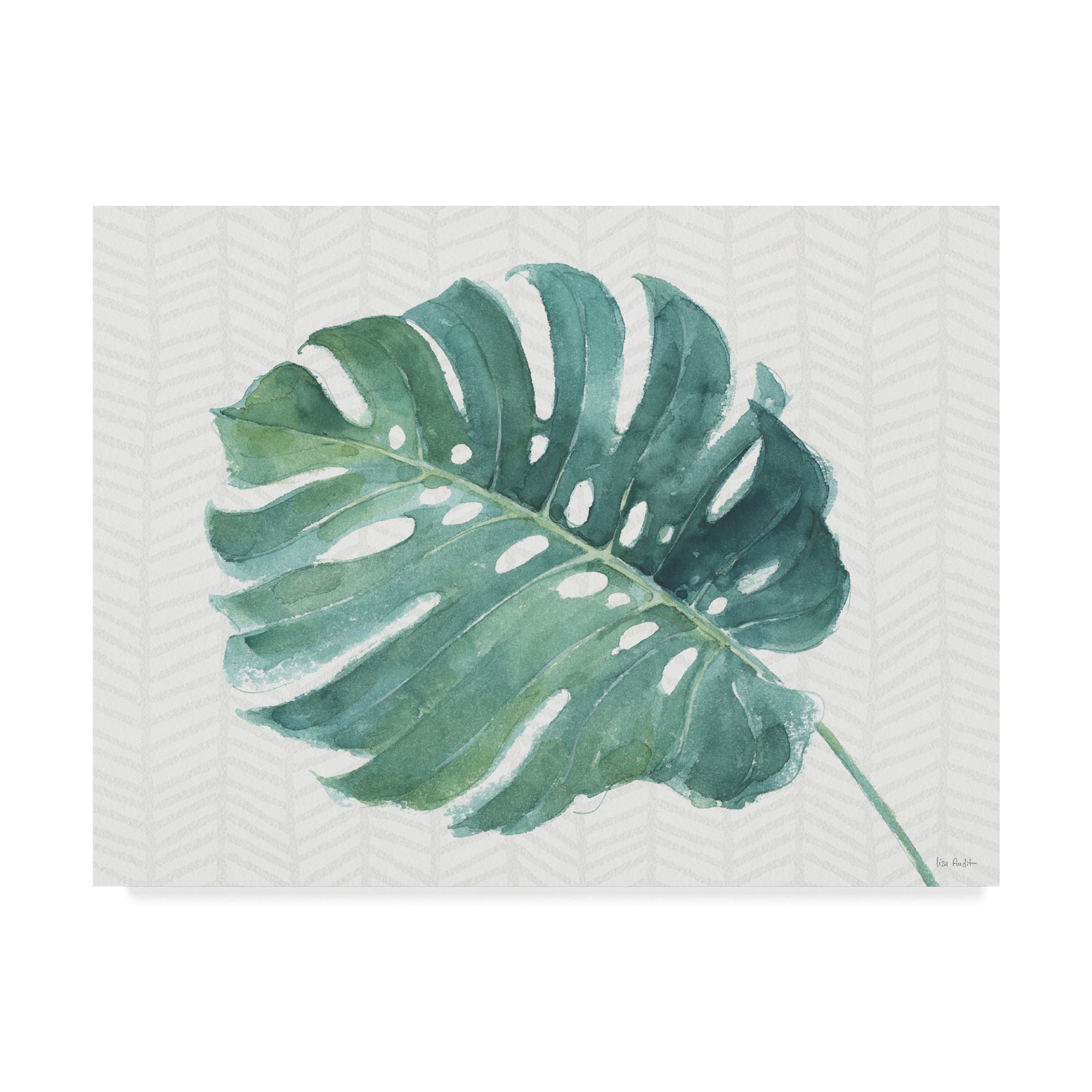 Trademark Fine Art 'Mixed Greens LXXXII' Canvas Art by Lisa Audit