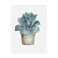 thumbnail image 1 of Trademark Fine Art 'Mixed Greens Succulent IV' Canvas Art by Lisa Audit, 1 of 3
