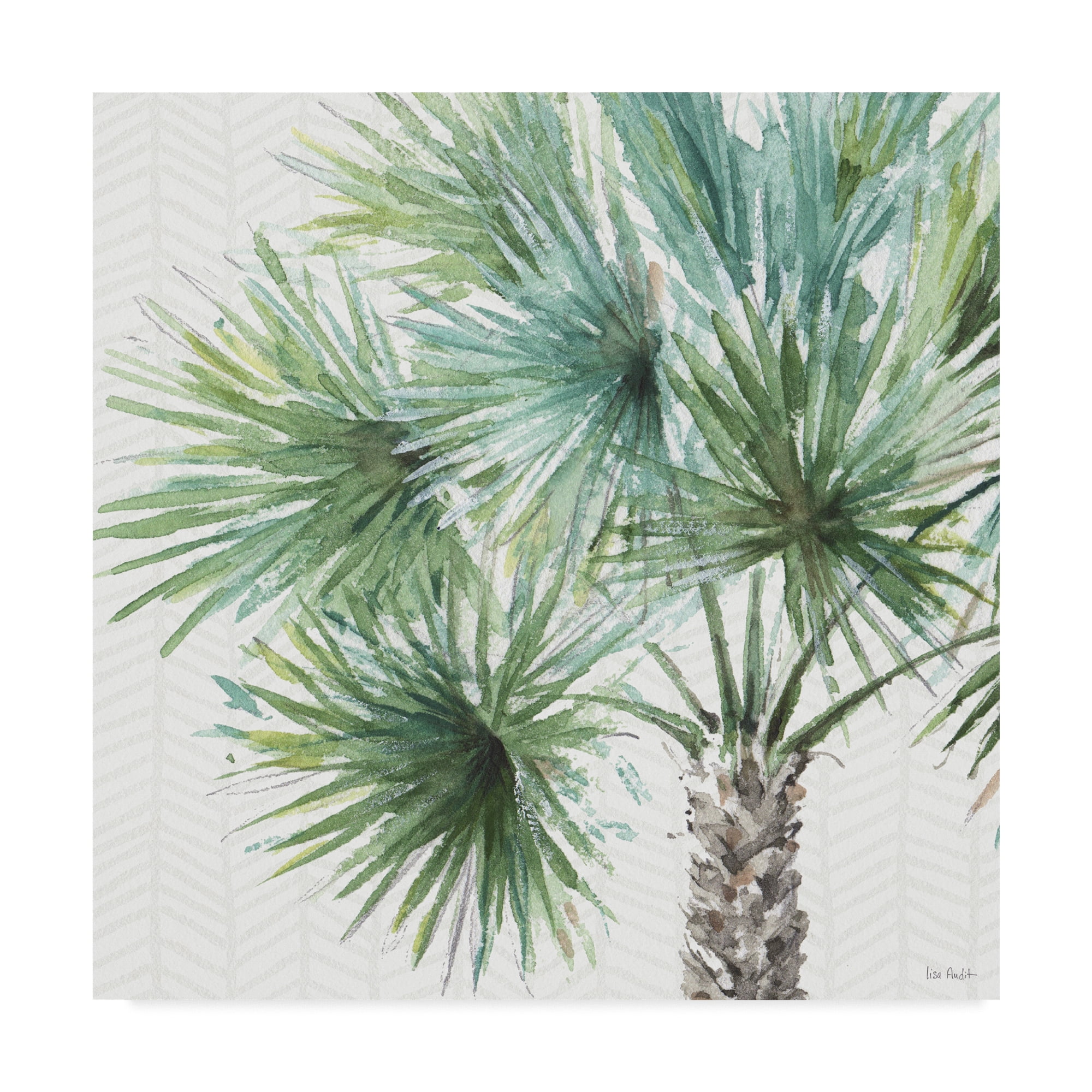 Trademark Fine Art 'Mixed Greens VI' Canvas Art by Lisa Audit