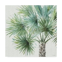 Trademark Fine Art 'Mixed Greens VI' Canvas Art by Lisa Audit