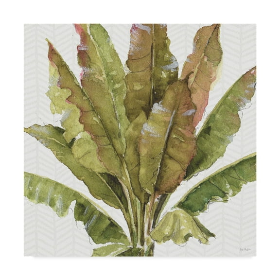 Trademark Fine Art 'Mixed Greens VII' Canvas Art by Lisa Audit