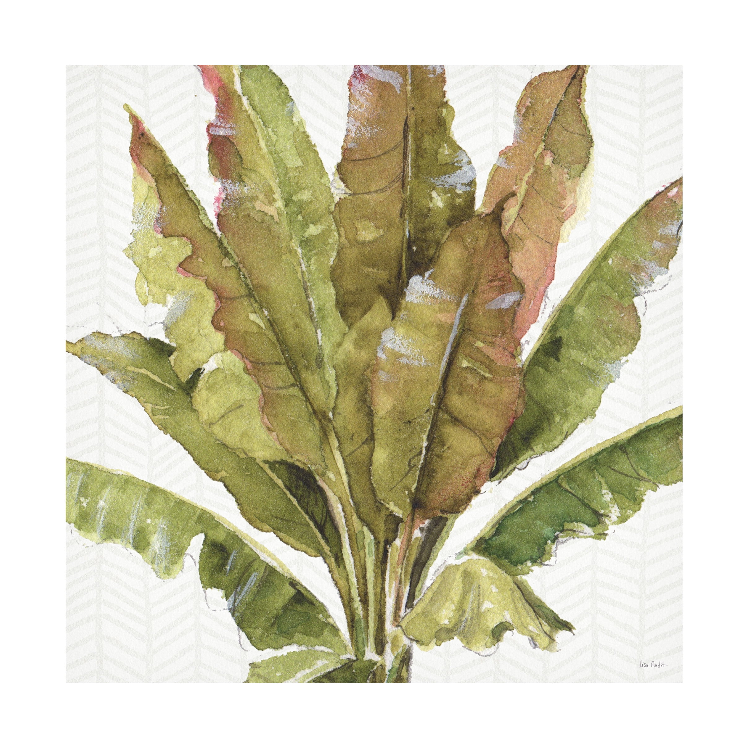 Trademark Fine Art 'Mixed Greens VII' Canvas Art by Lisa Audit