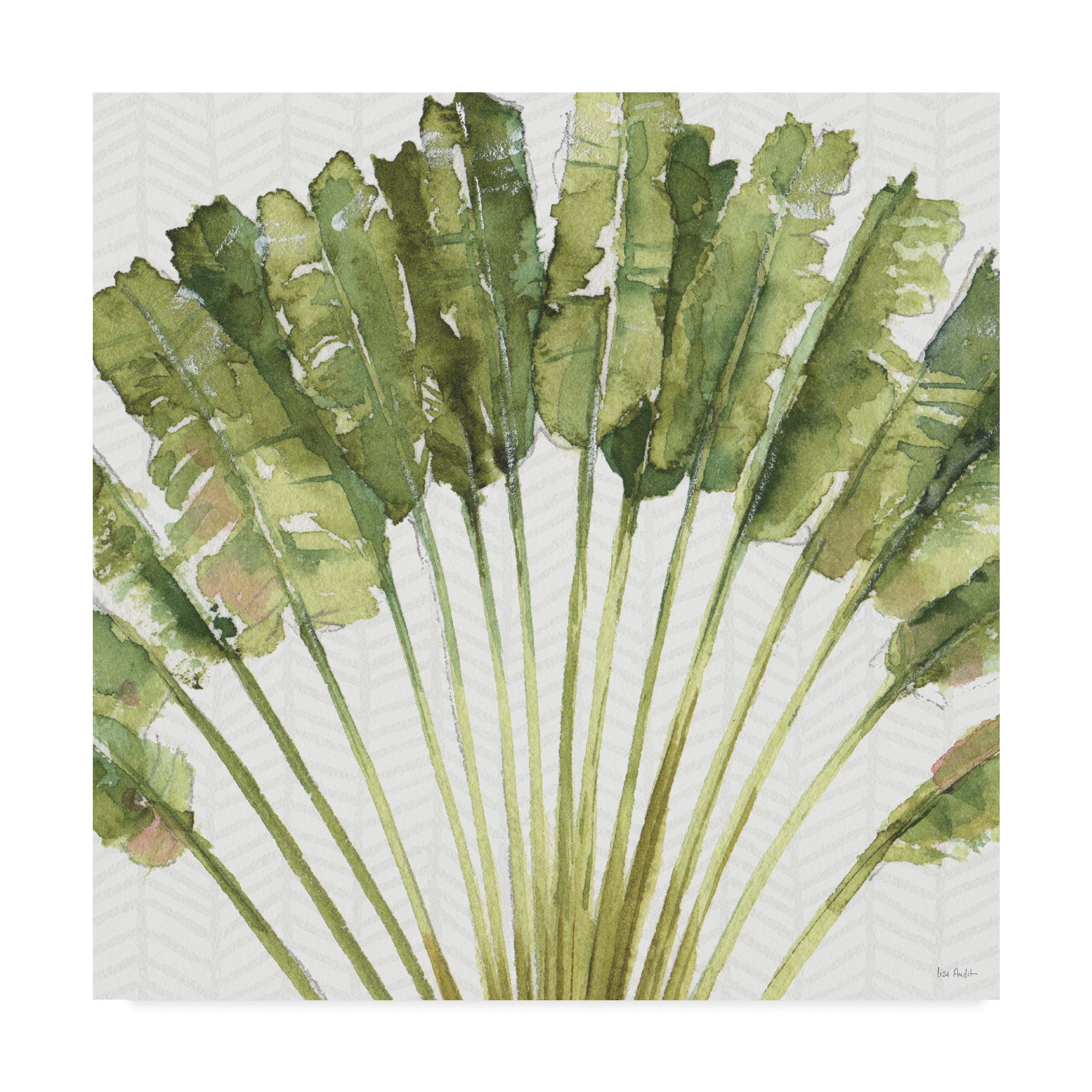 Trademark Fine Art 'Mixed Greens VIII' Canvas Art by Lisa Audit