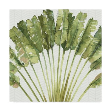Trademark Fine Art 'Mixed Greens VIII' Canvas Art by Lisa Audit
