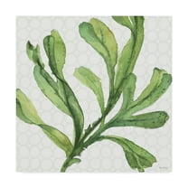 Trademark Fine Art 'Mixed Greens XIX' Canvas Art by Lisa Audit