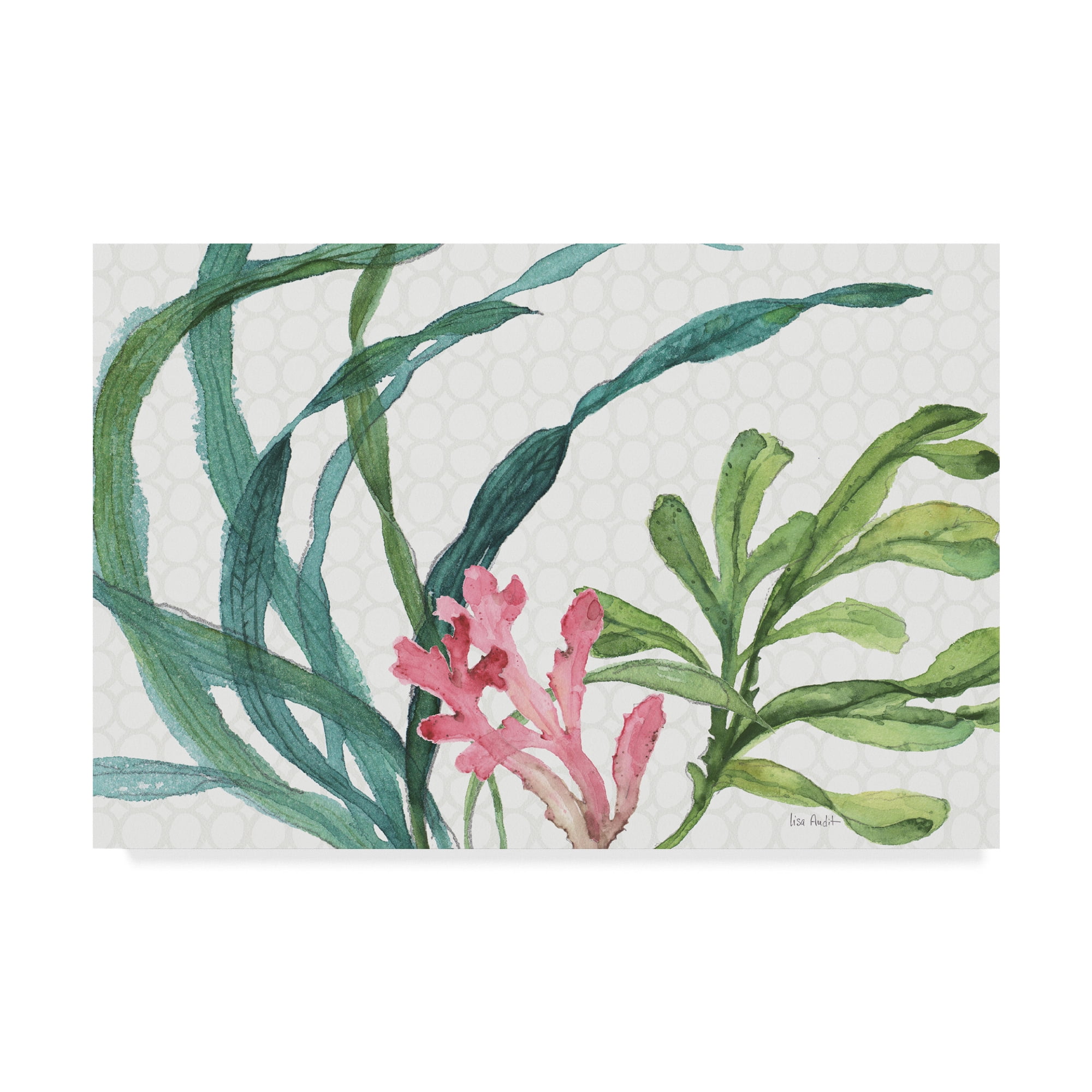 Trademark Fine Art 'Mixed Greens XVII' Canvas Art by Lisa Audit
