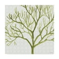 thumbnail image 1 of Trademark Fine Art 'Mixed Greens XXII' Canvas Art by Lisa Audit, 1 of 3