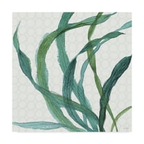 Trademark Fine Art 'Mixed Greens XXIII' Canvas Art by Lisa Audit