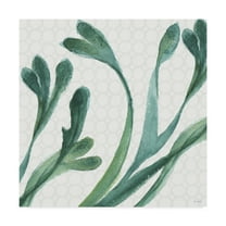 Trademark Fine Art 'Mixed Greens XXIV' Canvas Art by Lisa Audit