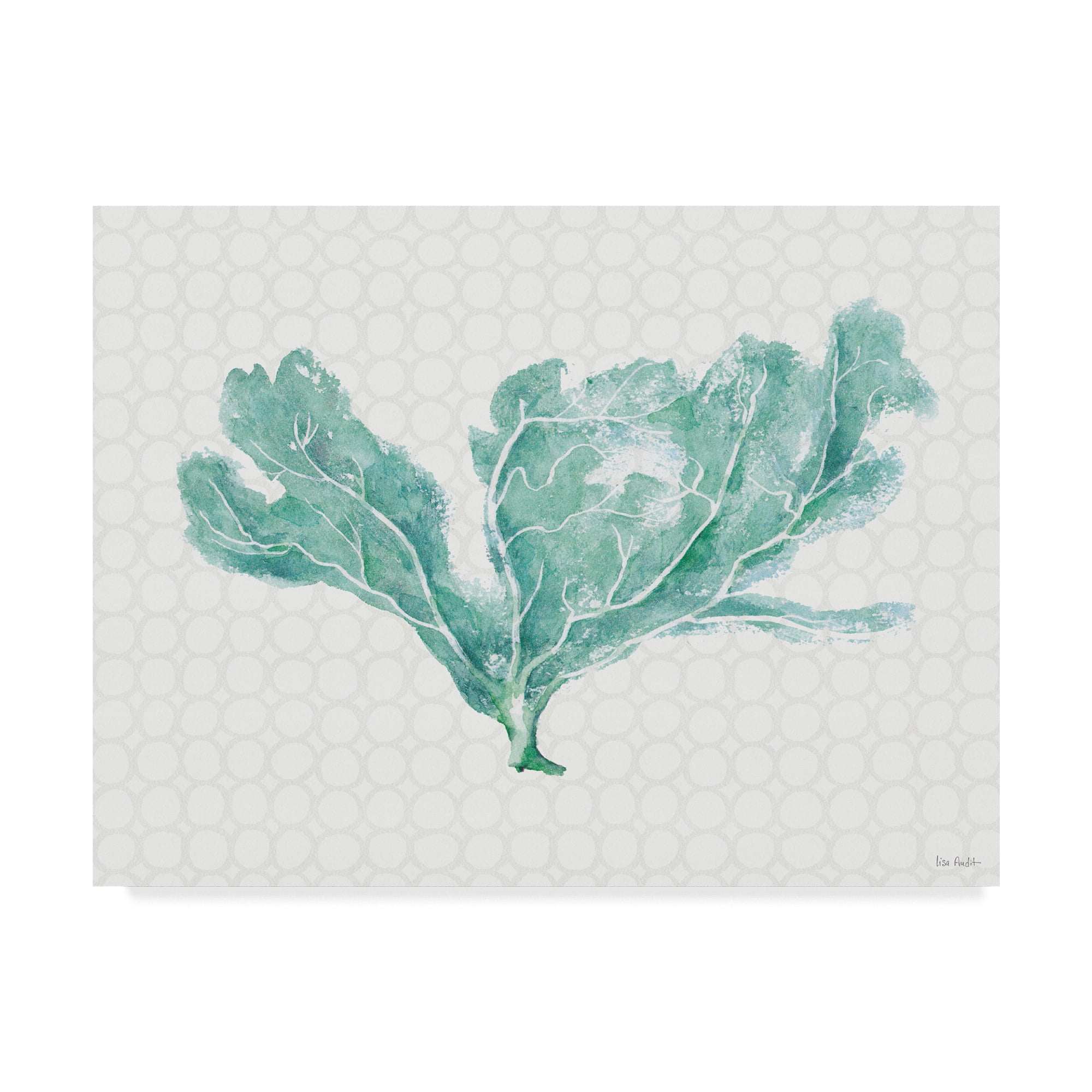 Trademark Fine Art 'Mixed Greens XXIX' Canvas Art by Lisa Audit