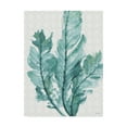 thumbnail image 1 of Trademark Fine Art 'Mixed Greens XXVI' Canvas Art by Lisa Audit, 1 of 3