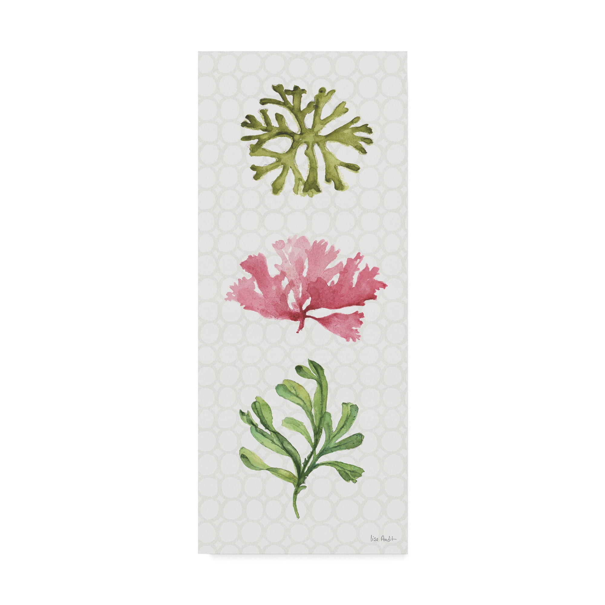 Lisa Audit Green and Pink Coral Gallery-Wrapped Canvas Art, 8 x 19