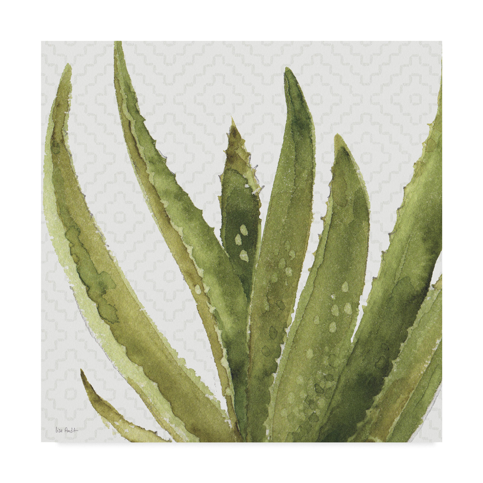 Trademark Fine Art 'Mixed Greens XXXVIII' Canvas Art by Lisa Audit