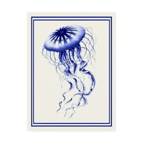 Trademark Fine Art 'Mixed Nautical Blue on Cream c' Canvas Art by Fab Funky