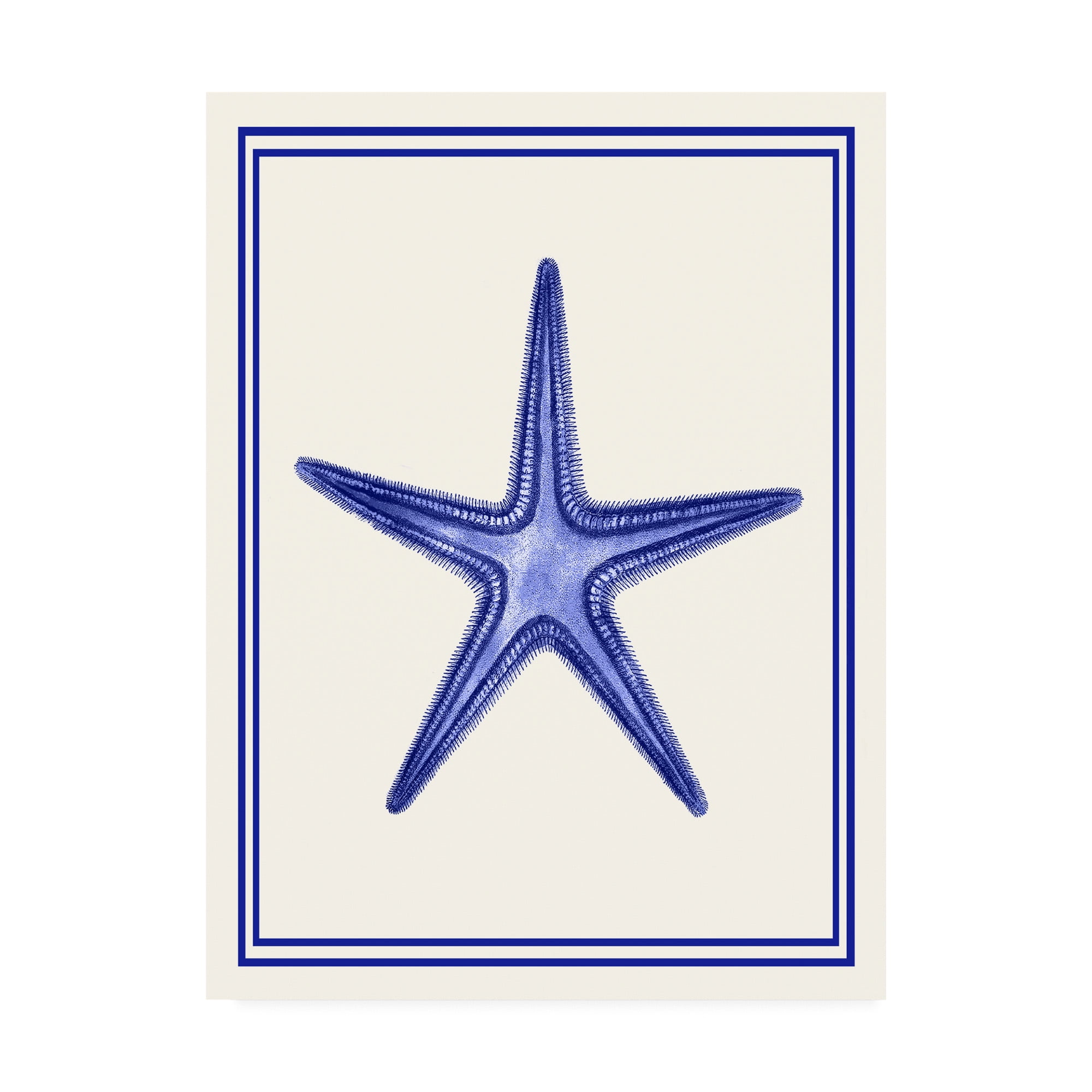 Trademark Fine Art 'Mixed Nautical Blue on Cream f' Canvas Art by Fab Funky