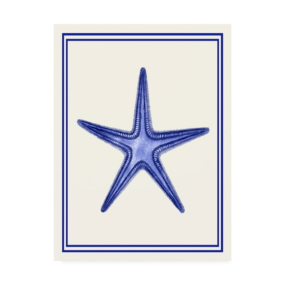 Trademark Fine Art 'Mixed Nautical Blue on Cream f' Canvas Art by Fab Funky