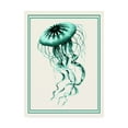 thumbnail image 1 of Trademark Fine Art 'Mixed Nautical Green on Cream c' Canvas Art by Fab Funky, 1 of 3
