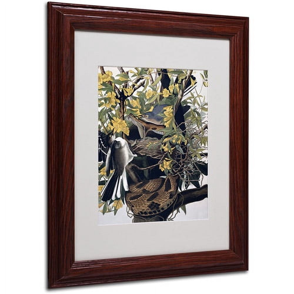 Trademark Fine Art "Mocking Birds and Snake" Canvas Art by John James Audubon, Wood Frame