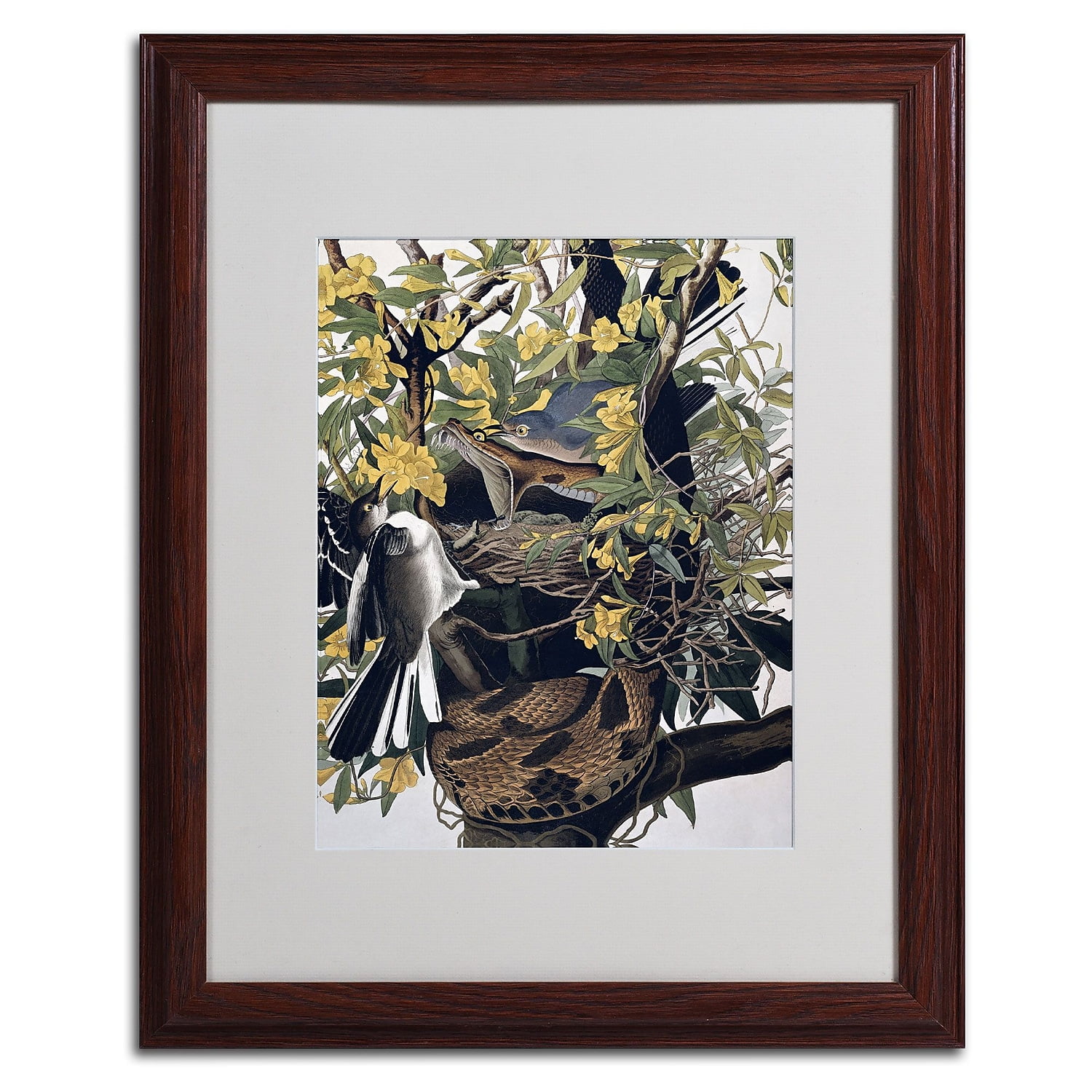 Trademark Fine Art "Mocking Birds and Snake" Canvas Art by John James Audubon, Wood Frame