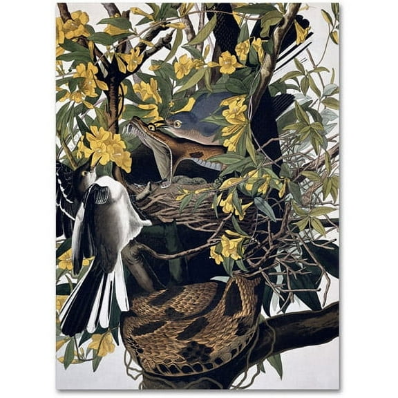 Trademark Fine Art "Mocking Birds and Snake" Canvas Art by John James Audubon