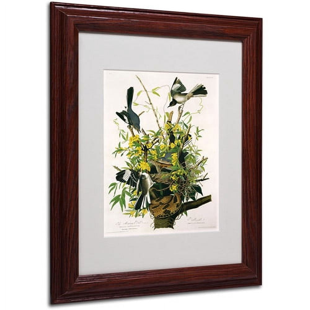Trademark Fine Art "Mocking Birds and Snake II" Canvas Art by John James Audubon, Wood Frame