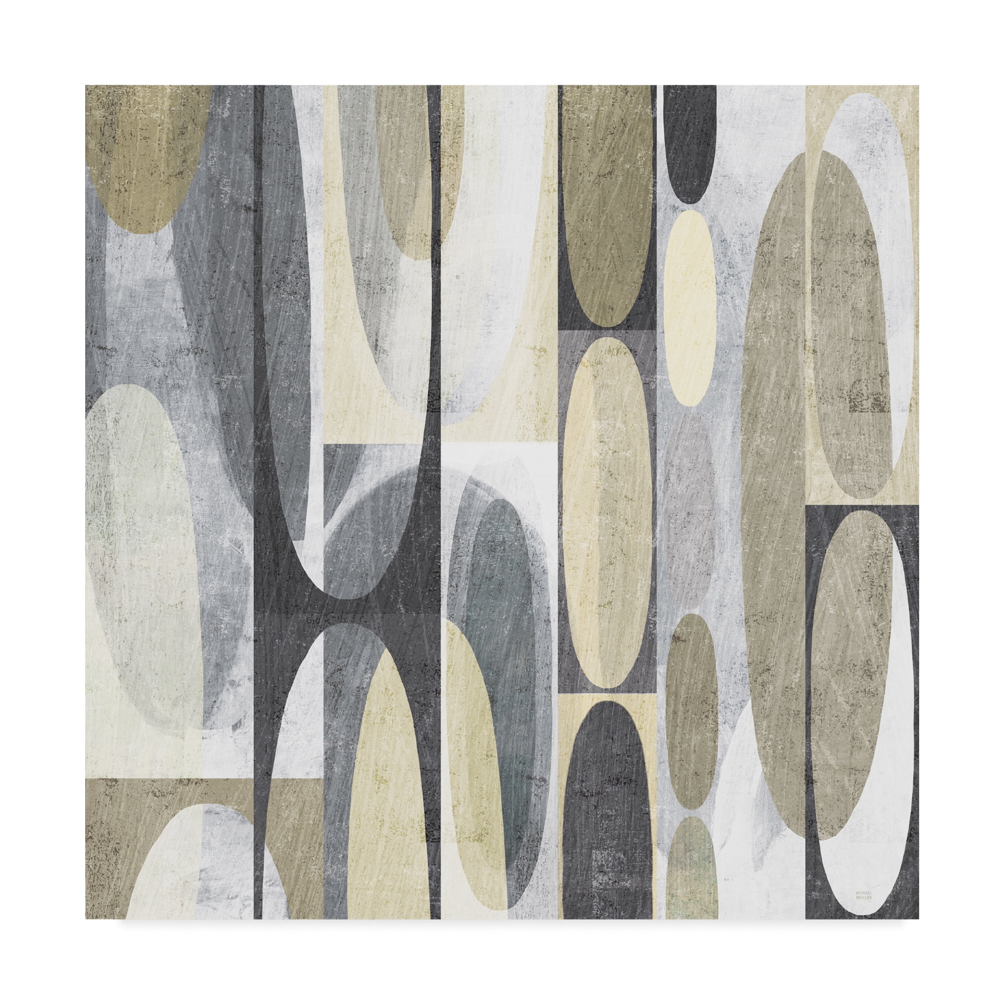 Trademark Fine Art 'Mod Pods Achroma' Canvas Art by Michael Mullan