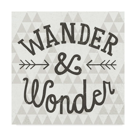 Trademark Fine Art 'Mod Triangles Wander and Wonder' Canvas Art by Michael Mullan