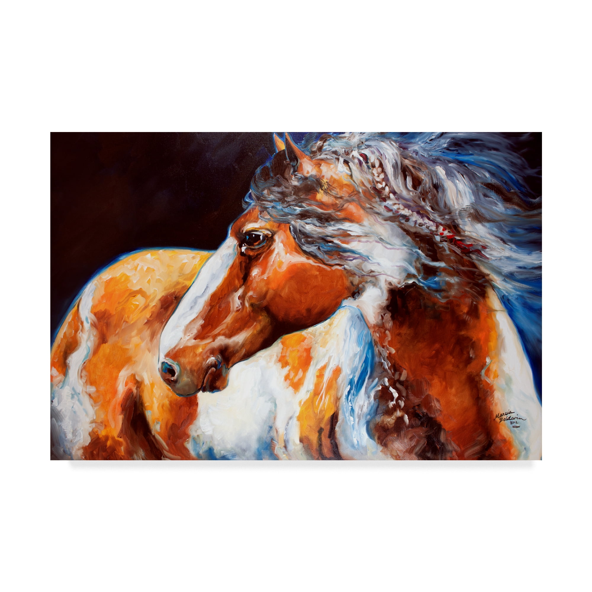 Trademark Fine Art 'Mohican Indian War Horse' Canvas Art by Marcia Baldwin