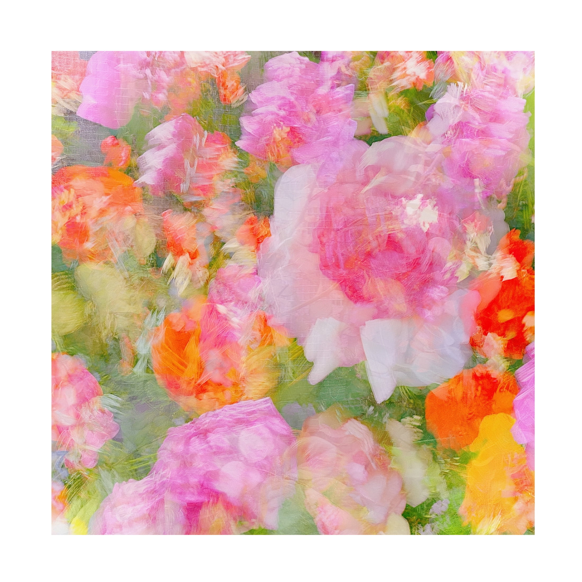 Trademark Fine Art Molly Fu  My Rose Garden Impression Canvas Wall Art