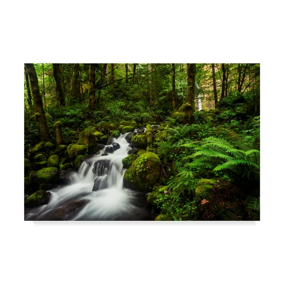 Trademark Fine Art 'Moment In Nature' Canvas Art by Natalie Mikaels
