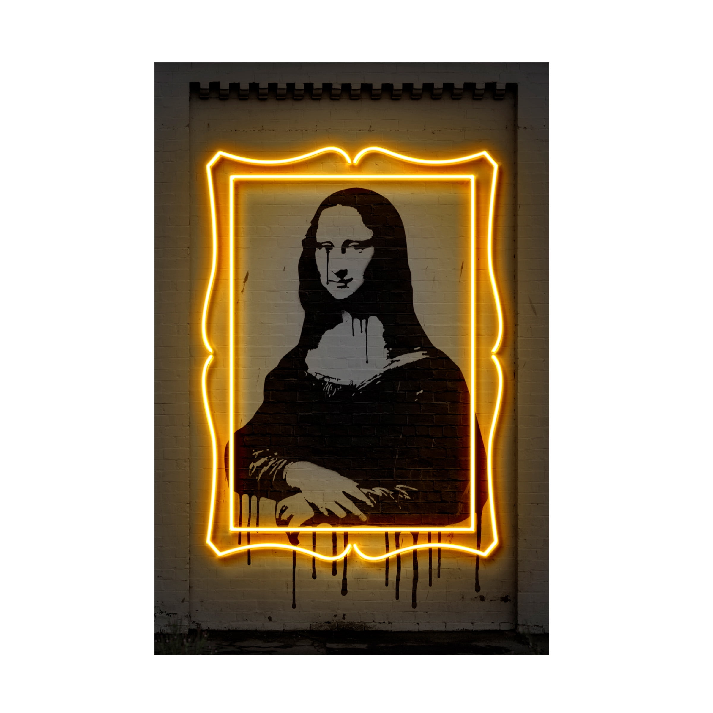 Trademark Fine Art Octavian Mielu Mona Lisa Canvas Wall Art - 30x47