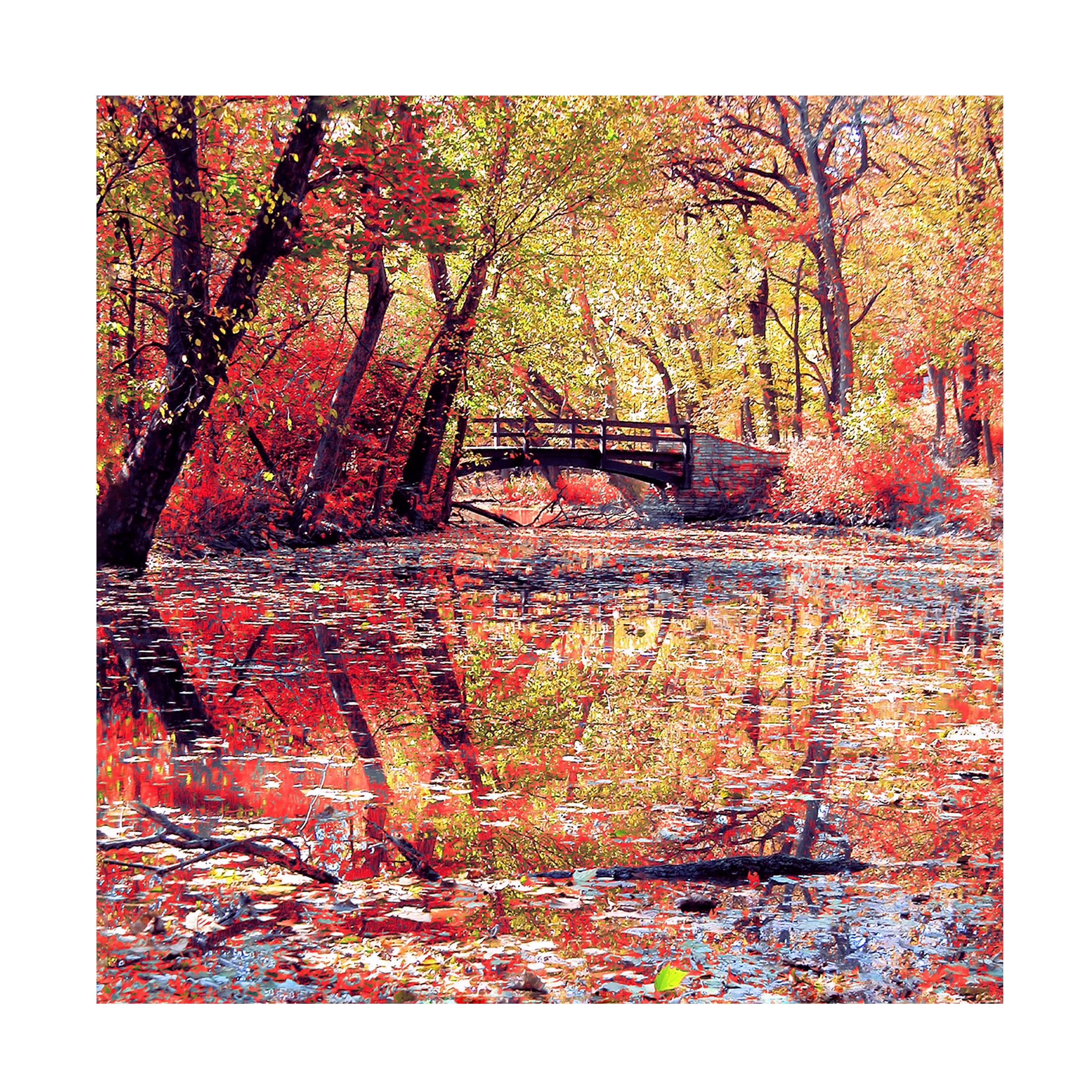 Trademark Fine Art "Monet's Garden" Canvas Art by Beata Czyzowska Young