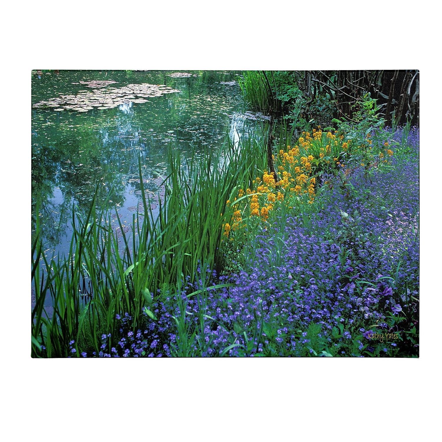 Trademark Fine Art 'Monet's Lily Pond' Canvas Art by Kathy Yates