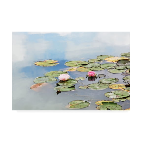 Trademark Fine Art 'Monets Garden Lily Pads' Canvas Art by Brooke T. Ryan