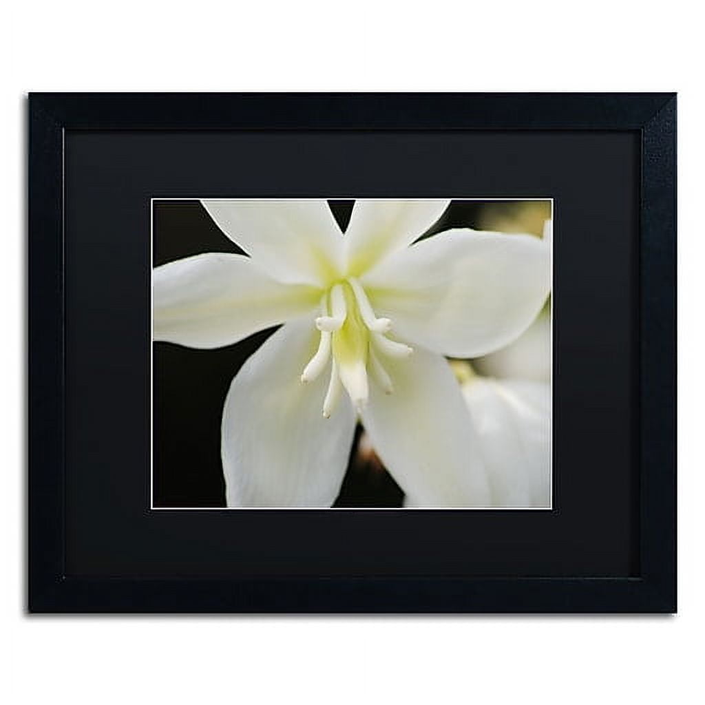 Trademark Fine Art Monica Mize 'Hope' 16 x 20 (MF149-B1620BMF)