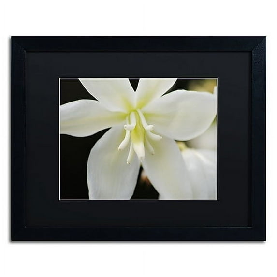 Trademark Fine Art Monica Mize 'Hope' 16 x 20 (MF149-B1620BMF)