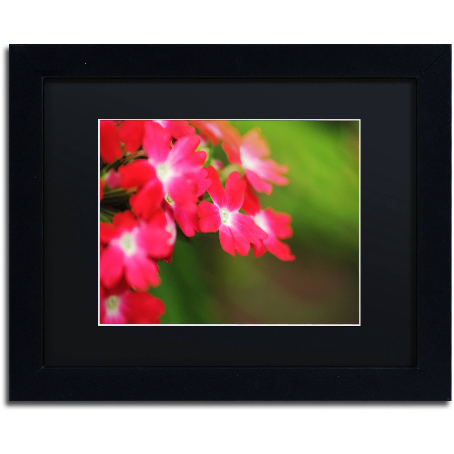 Trademark Fine Art Monica Mize 'Paired Ornament' 16 x 20 (MF163-B1620BMF)