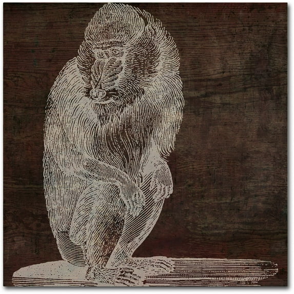 Trademark Fine Art "Monkey" Canvas Art by Color Bakery