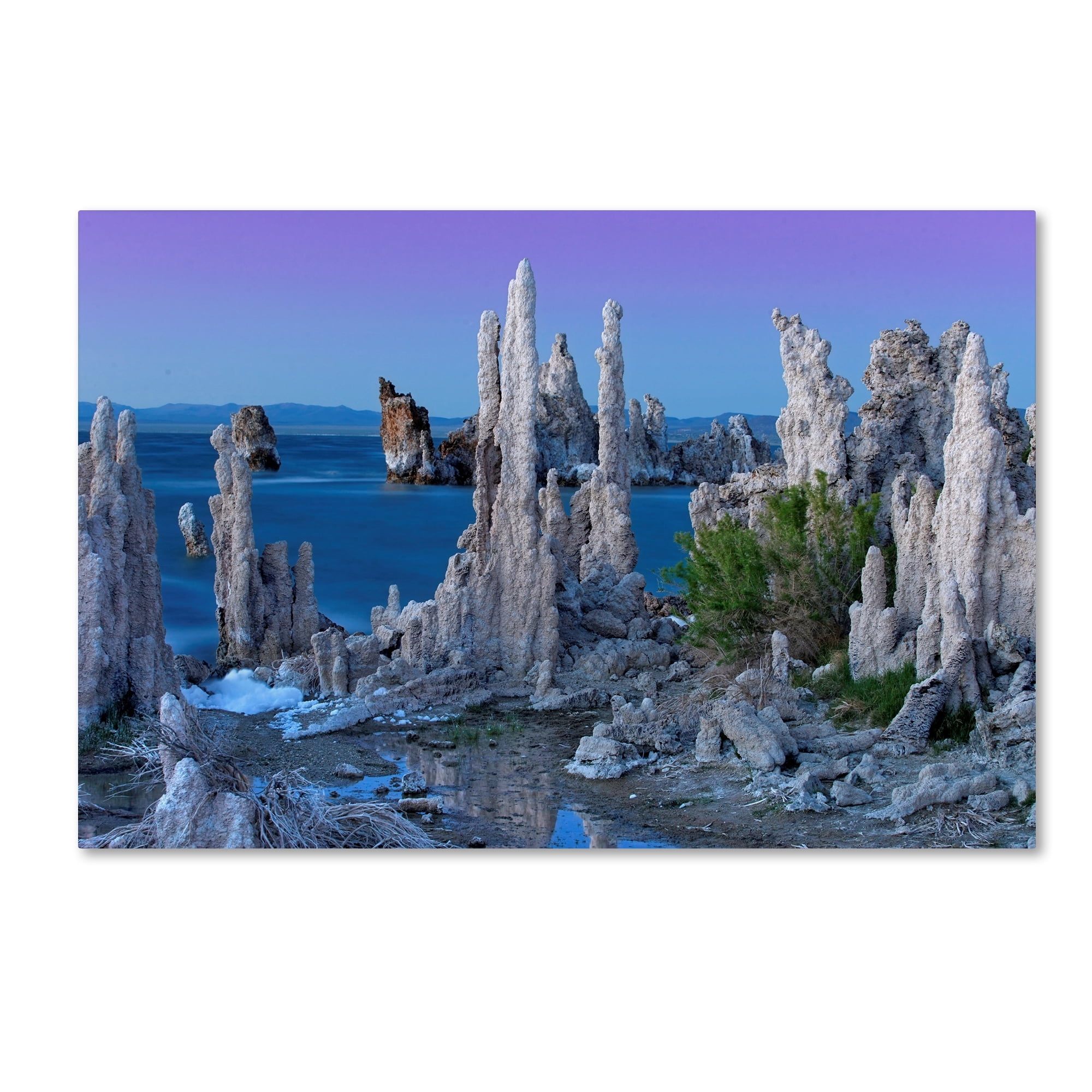 Trademark Fine Art 'Mono Lake Dusk' Canvas Art by Mike Jones Photo