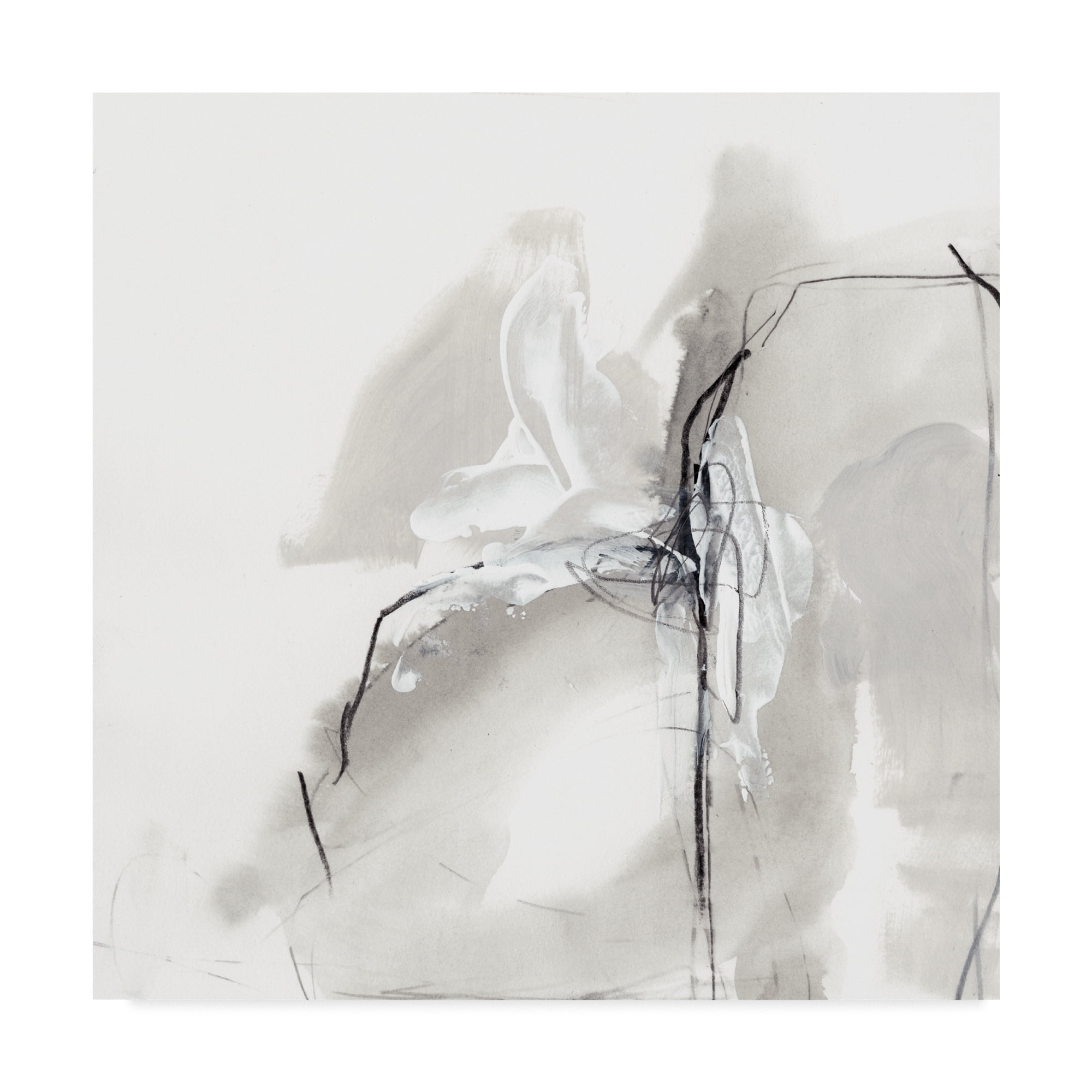 Trademark Fine Art 'Monochrome Gestures I' Canvas Art by June Erica Vess